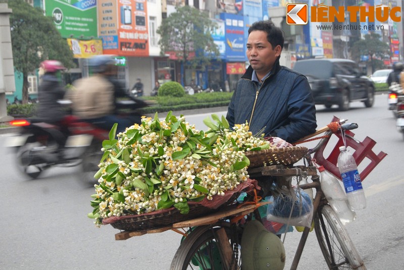 Ky la loai hoa ban theo lang tren pho phuong Ha Noi-Hinh-8